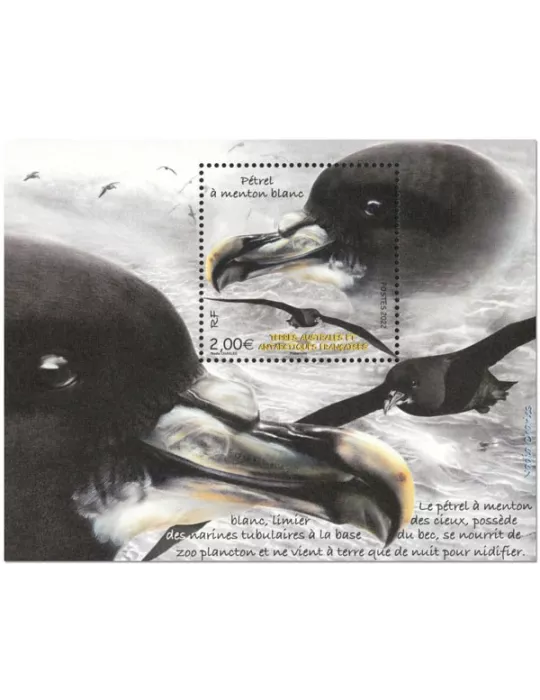 n° F1008 - Timbre TAAF Poste