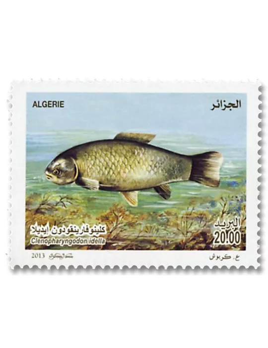 n° 1670/1671 - Timbre ALGERIE Poste