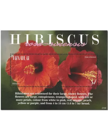 n° 308 - Timbre TUVALU Blocs et feuillets