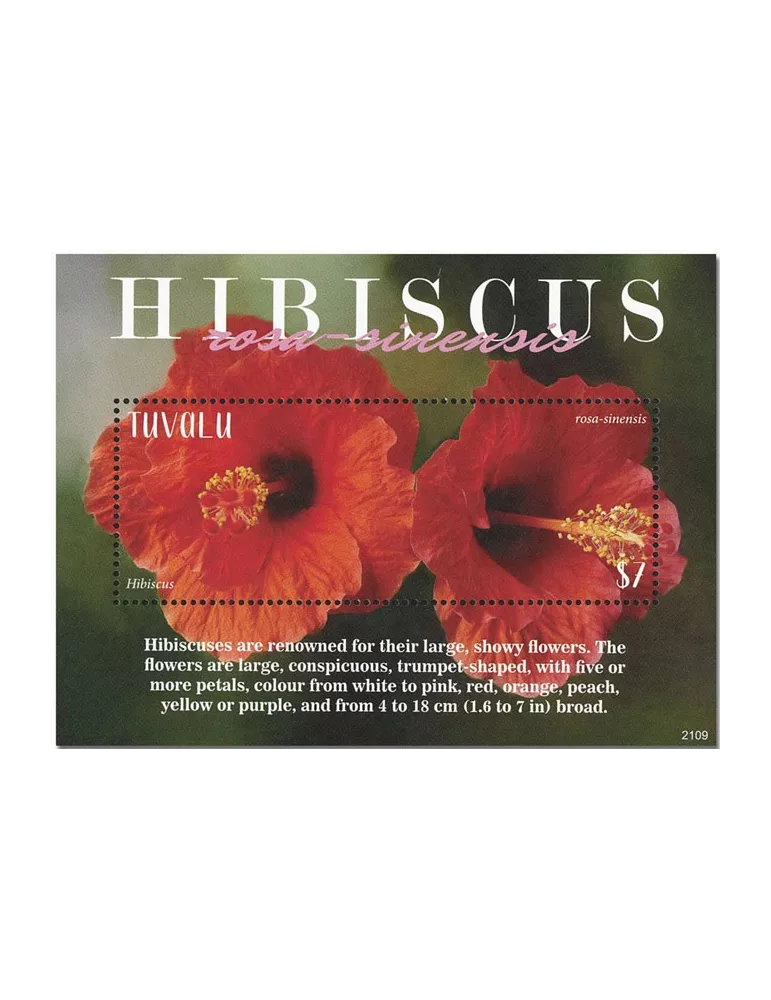 n° 308 - Timbre TUVALU Blocs et feuillets