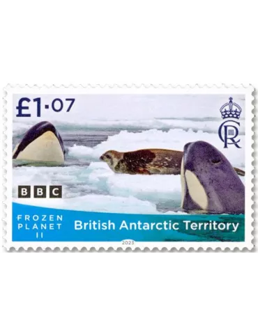 n° 805/808 - Timbre ANTARCTIQUE BRITANNIQUE Poste 2