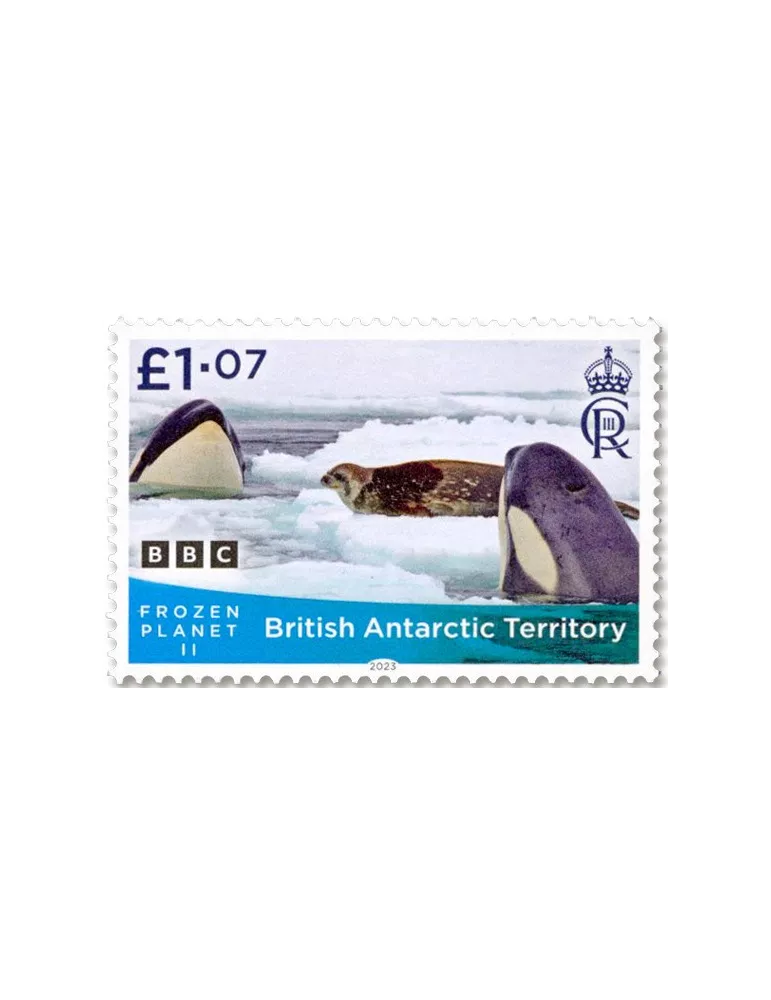 n° 805/808 - Timbre ANTARCTIQUE BRITANNIQUE Poste