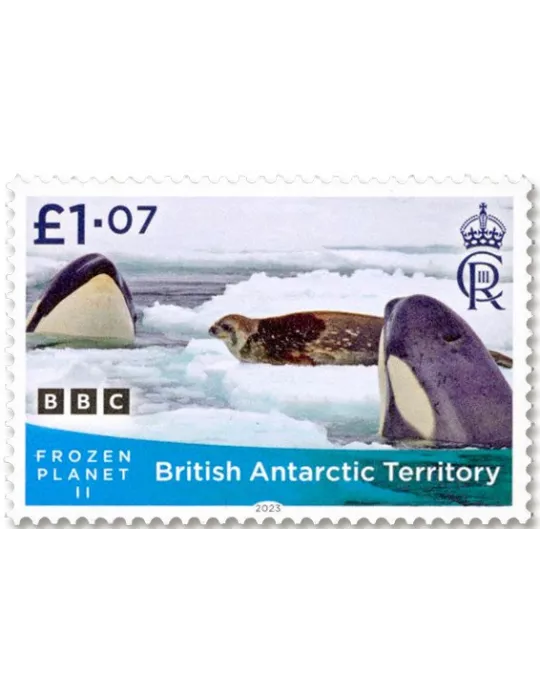 n° 805/808 - Timbre ANTARCTIQUE BRITANNIQUE Poste