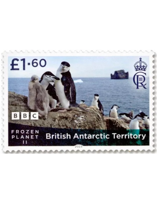 n° 805/808 - Timbre ANTARCTIQUE BRITANNIQUE Poste