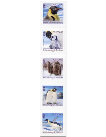 n° 825/829 - Timbre ANTARCTIQUE BRITANNIQUE Poste