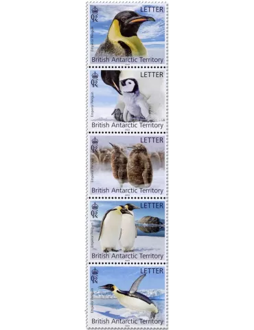 n° 830/834 - Timbre ANTARCTIQUE BRITANNIQUE Poste
