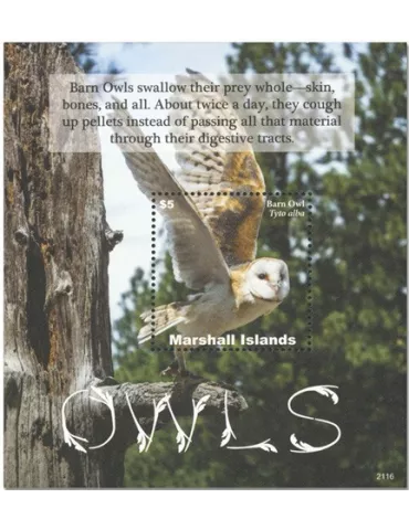 n° 138 - Timbre MARSHALL Blocs et feuillets