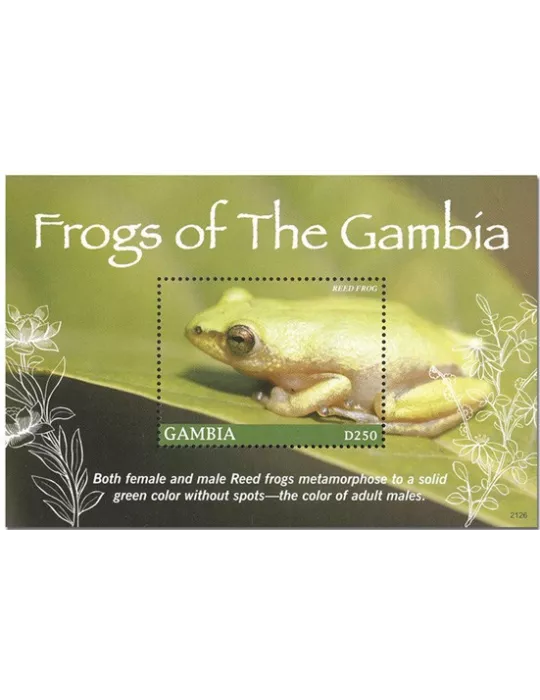 n° 963 - Timbre GAMBIE Blocs et feuillets