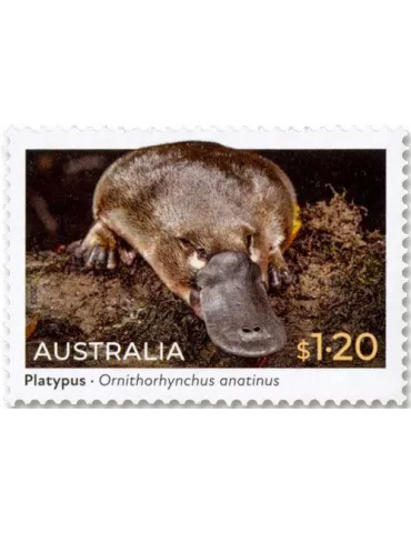 n° 5331/5334 - Timbre AUSTRALIE Poste