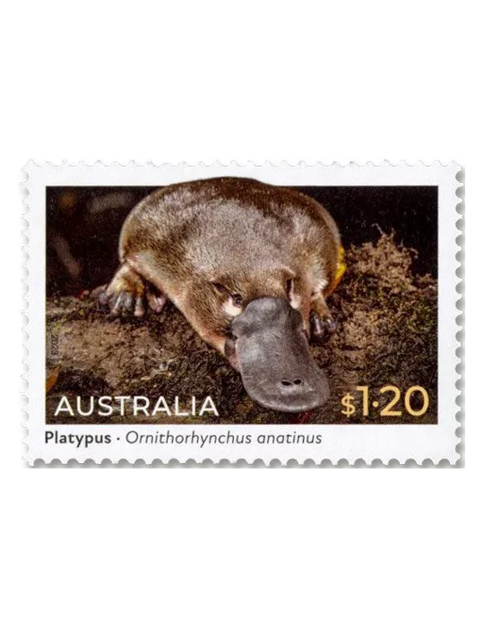 n° 5331/5334 - Timbre AUSTRALIE Poste