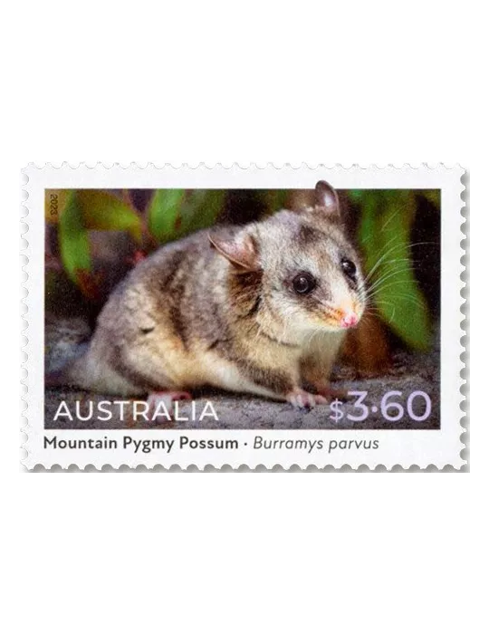 n° 5331/5334 - Timbre AUSTRALIE Poste