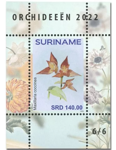 n° 189 à 194 - Timbre SURINAM Blocs et feuillets