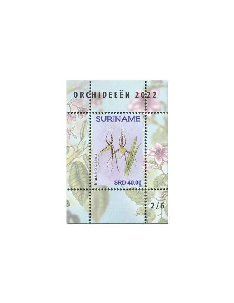 n° 189 à 194 - Timbre SURINAM Blocs et feuillets