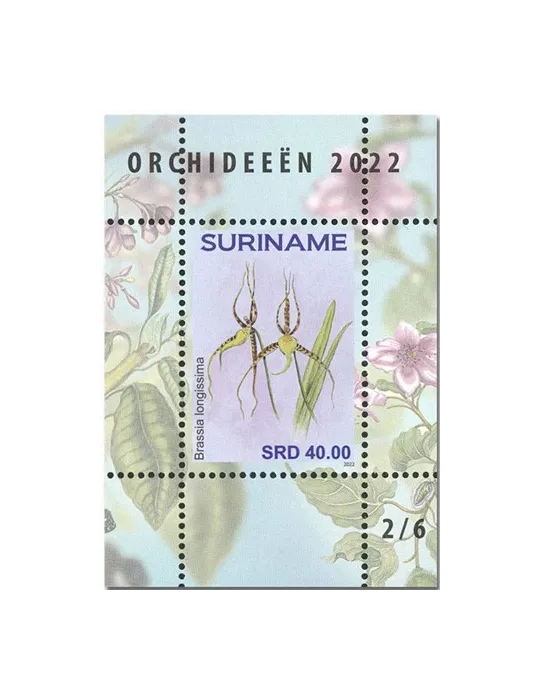 n° 189 à 194 - Timbre SURINAM Blocs et feuillets