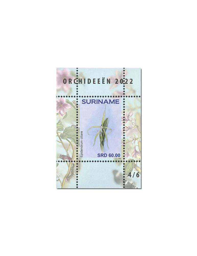 n° 189 à 194 - Timbre SURINAM Blocs et feuillets