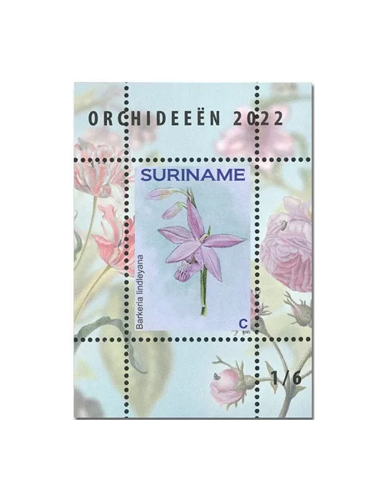 n° 189 à 194 - Timbre SURINAM Blocs et feuillets