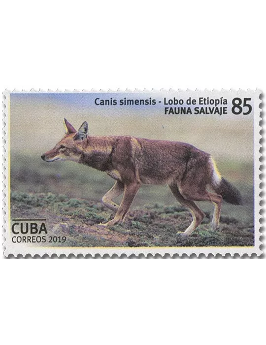 n° 5843/5848 - Timbre CUBA Poste