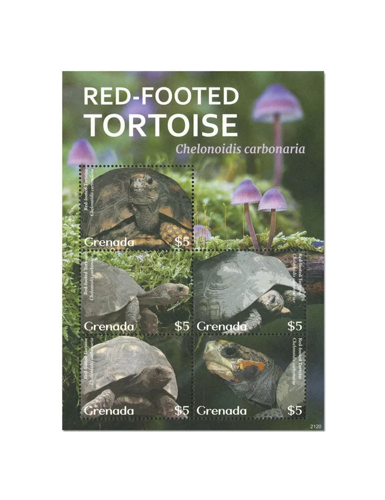 n° 6527/6531 - Timbre GRENADE Poste