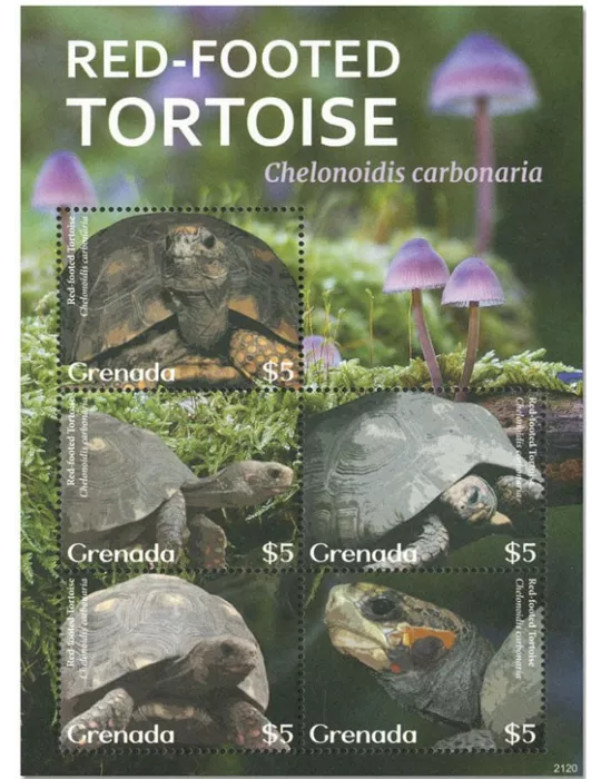 n° 6527/6531 - Timbre GRENADE Poste