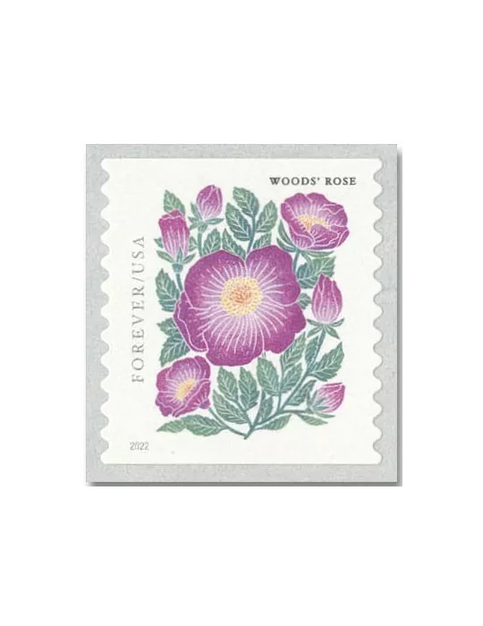 n° 5510a/5513a - Timbre ETATS-UNIS D´AMERIQUE Poste