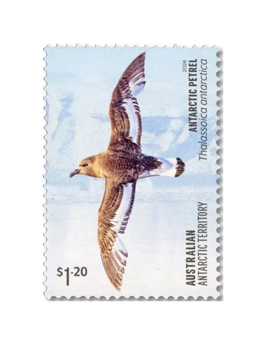 n° 297/300 - Timbre TERRITOIRE ANTARCTIQUE AUSTRALIEN Poste