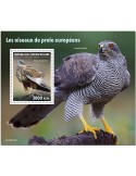 n° 1649 - Timbre CENTRAFRIQUE Blocs et feuillets