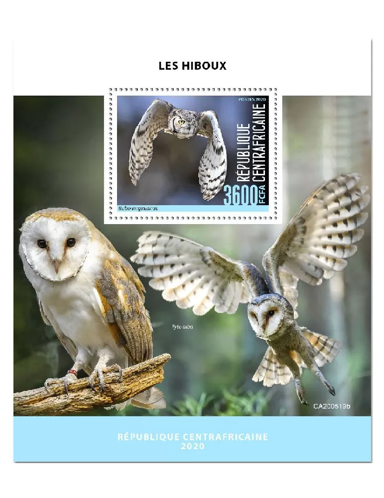 n° 1674 - Timbre CENTRAFRIQUE Blocs et feuillets