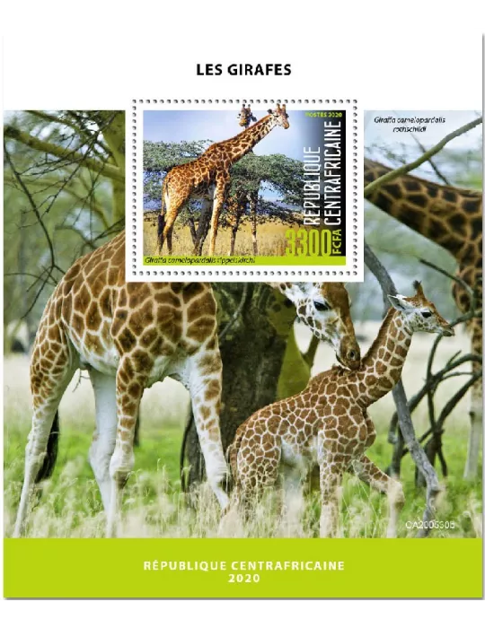 n° 1685 - Timbre CENTRAFRIQUE Blocs et feuillets