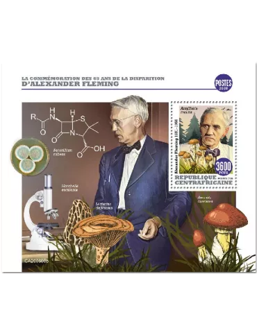 n° 1697 - Timbre CENTRAFRIQUE Blocs et feuillets