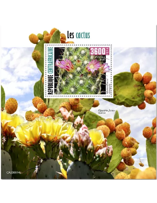 n° 1703 - Timbre CENTRAFRIQUE Blocs et feuillets