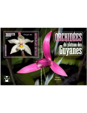 n° 1742 - Timbre CENTRAFRIQUE Blocs et feuillets