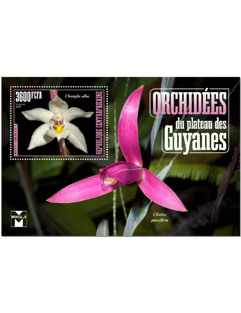 n° 1742 - Timbre CENTRAFRIQUE Blocs et feuillets