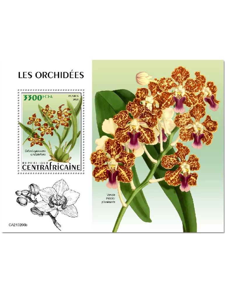 n° 1749 - Timbre CENTRAFRIQUE Blocs et feuillets