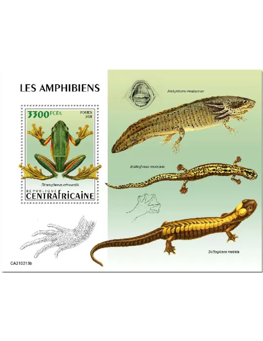 n° 1756 - Timbre CENTRAFRIQUE Blocs et feuillets