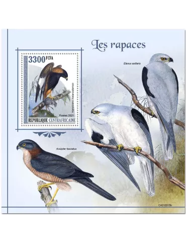 n° 1791 - Timbre CENTRAFRIQUE Blocs et feuillets
