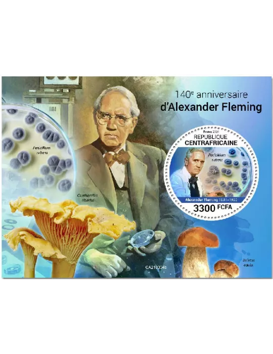 n° 1807 - Timbre CENTRAFRIQUE Blocs et feuillets