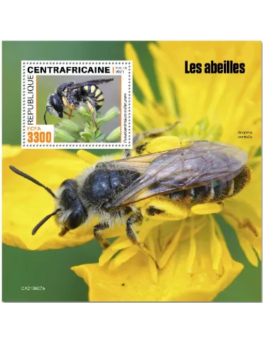 n° 1889 - Timbre CENTRAFRIQUE Blocs et feuillets