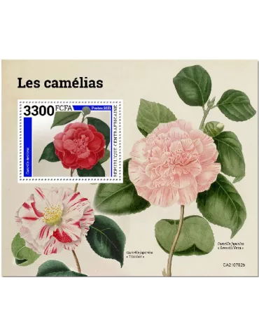 n° 1906 - Timbre CENTRAFRIQUE Blocs et feuillets