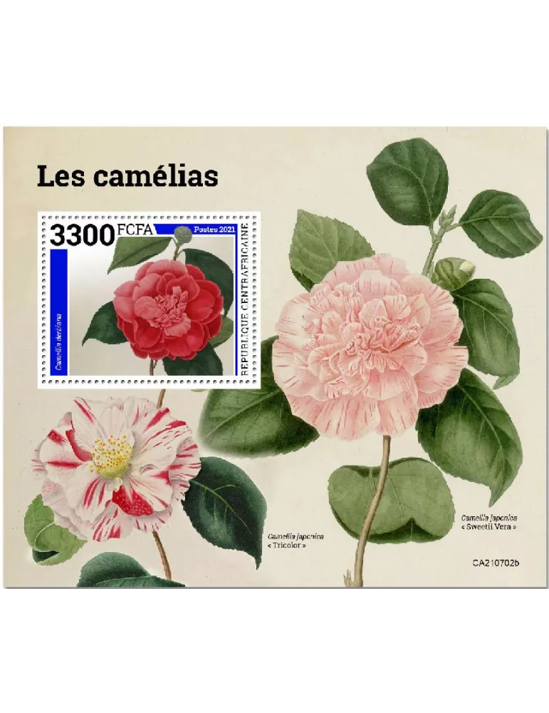 n° 1906 - Timbre CENTRAFRIQUE Blocs et feuillets