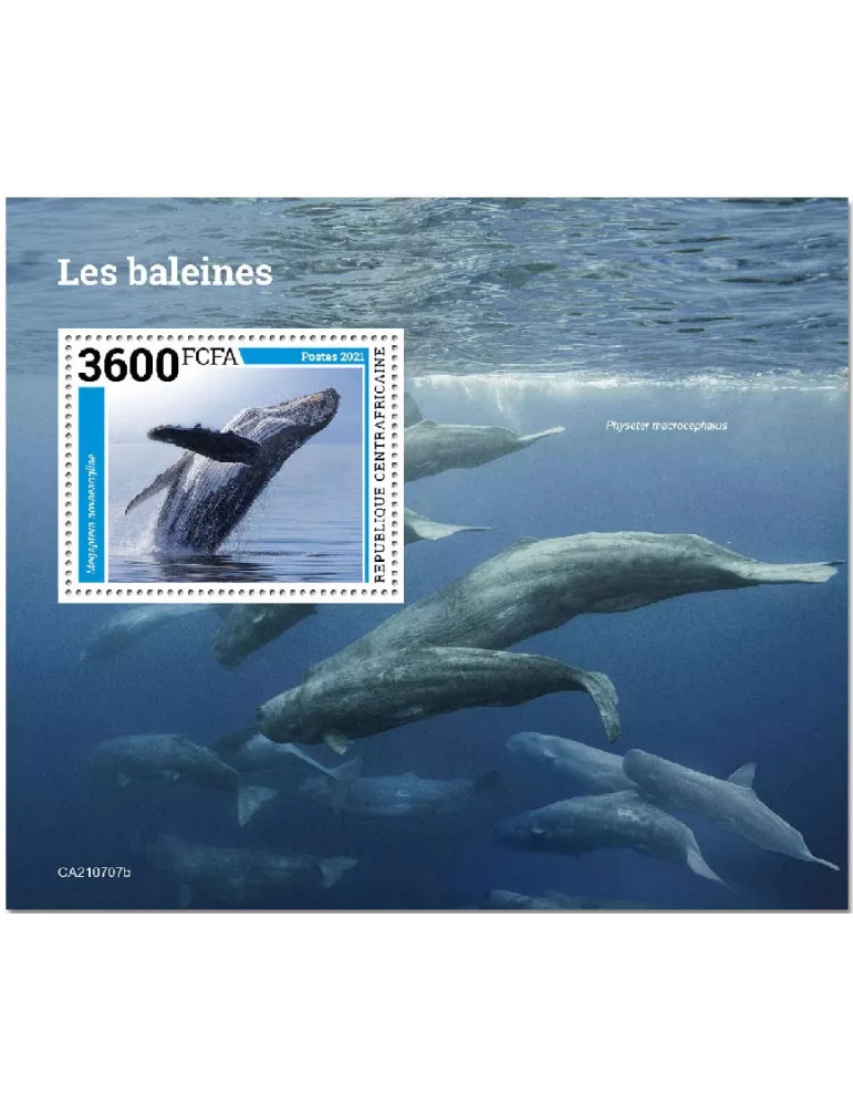 n° 1911 - Timbre CENTRAFRIQUE Blocs et feuillets