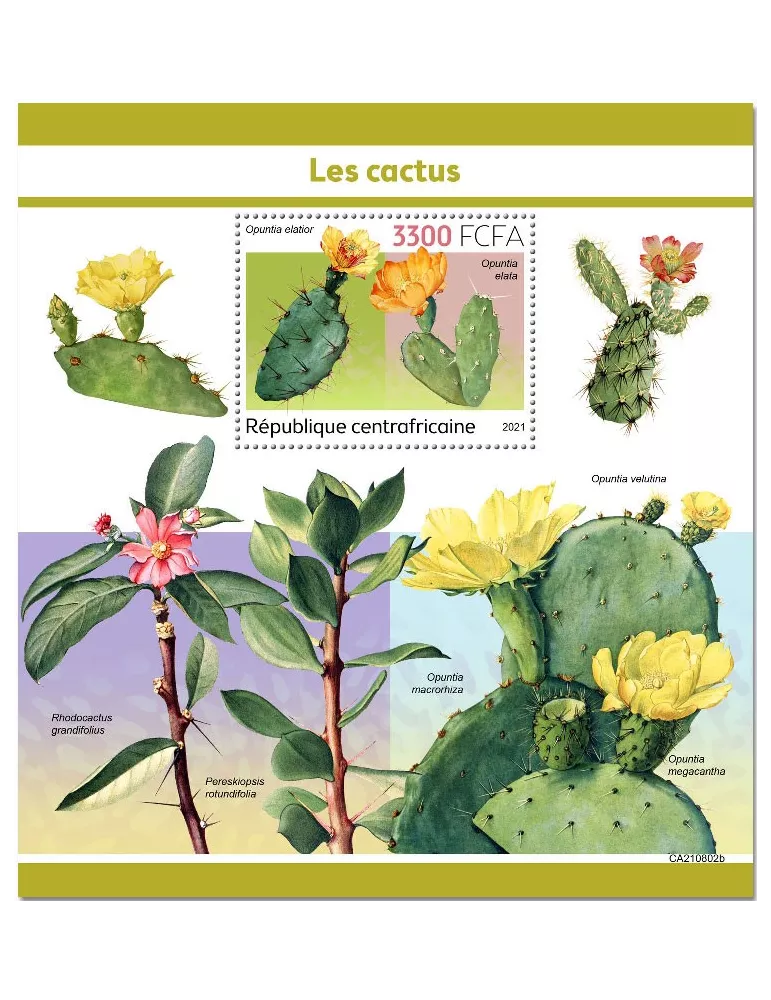 n° 1934 - Timbre CENTRAFRIQUE Blocs et feuillets