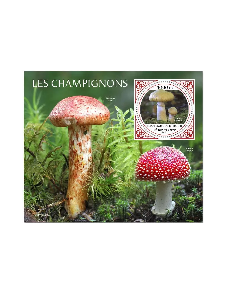 n° 712 - Timbre DJIBOUTI Blocs et feuillets