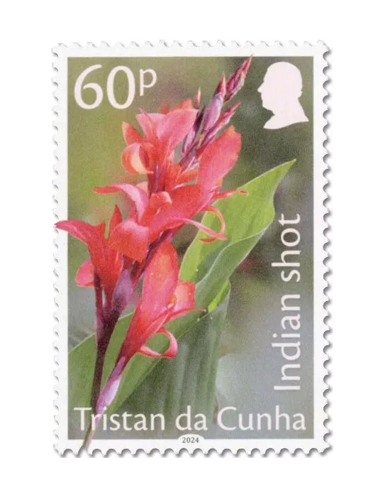 n° 1348/1351 - Timbre TRISTAN DA CUNHA Poste