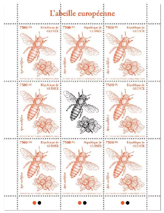 n° 10451 - Timbre GUINEE Poste