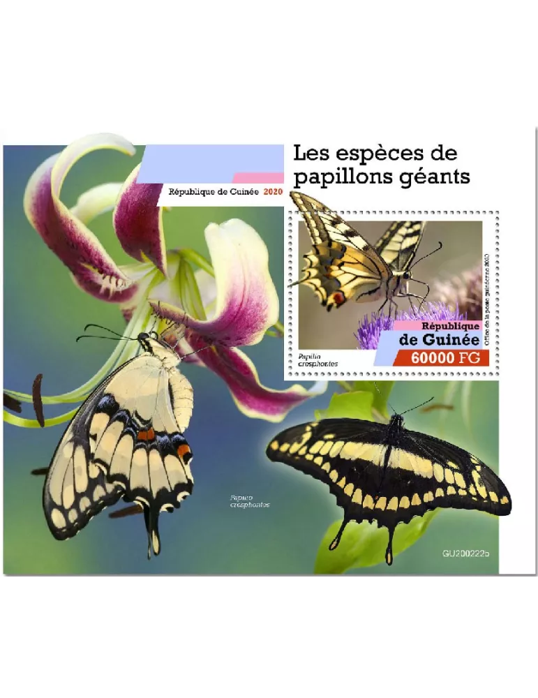 n° 2541 - Timbre GUINEE Blocs et feuillets