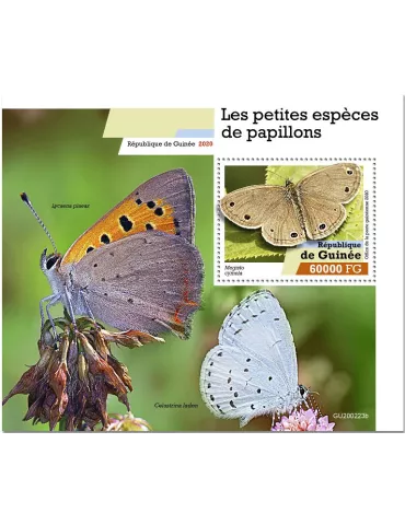 n° 2542 - Timbre GUINEE Blocs et feuillets