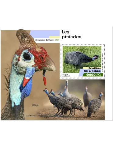 n° 2553 - Timbre GUINEE Blocs et feuillets