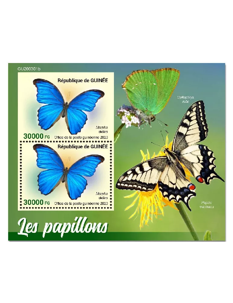 n° 2593 - Timbre GUINEE Blocs et feuillets