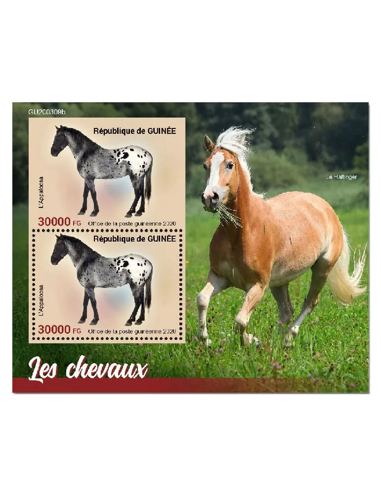 n° 2601 - Timbre GUINEE Blocs et feuillets