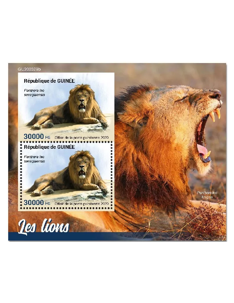 n° 2621 - Timbre GUINEE Blocs et feuillets